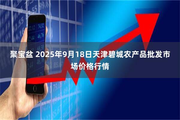聚宝盆 2025年9月18日天津碧城农产品批发市场价格行情