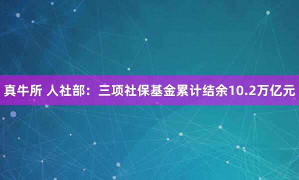 真牛所 人社部：三项社保基金累计结余10.2万亿元