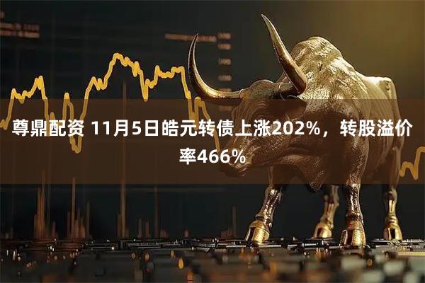 尊鼎配资 11月5日皓元转债上涨202%，转股溢价率466%